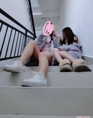 菜鸟总动员_1080P免费观看视频